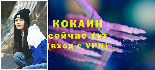эйфоретик Майский